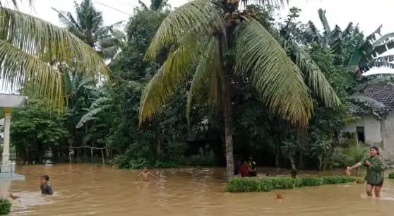 banjir jember