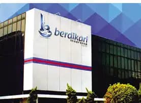 Berdikari Insurance