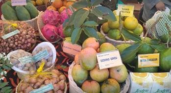 Jangan Diabaikan! Buah Ini Ampuh Turunkan Kolesterol Tinggi