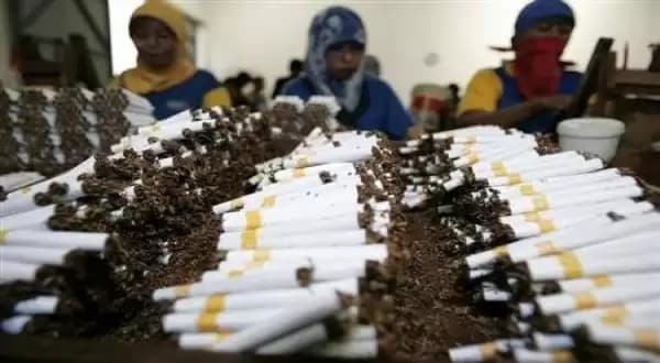 Rugikan Negara Rp 307 T, RPP Kesehatan Bisa Picu Gelombang PHK