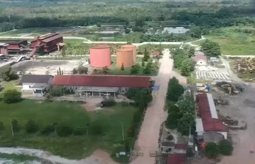 CV Mutiara Alam Lestari dan Mutiara Hijau Lestari PHK Ratusan Karyawannya