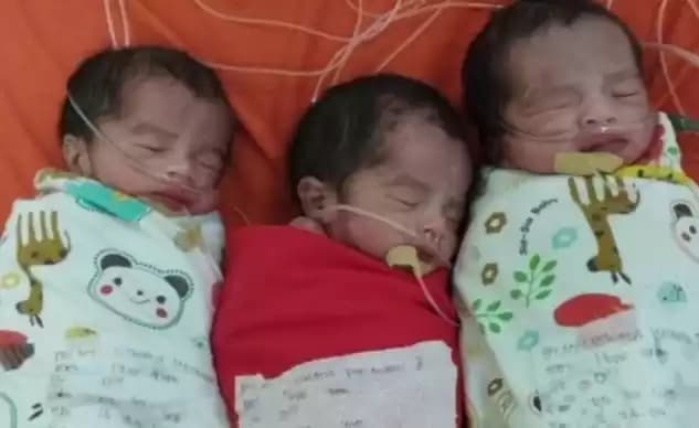 Foto Bayi Kembar