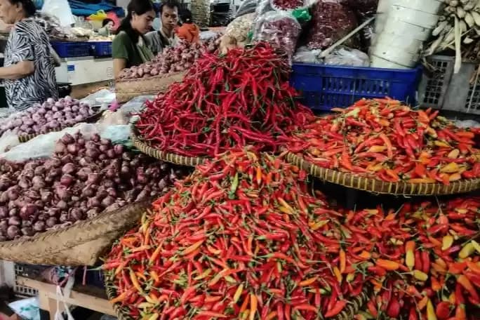 Foto Cabai Rawit Merah