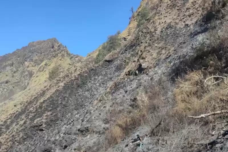Foto Hutan Terbakar