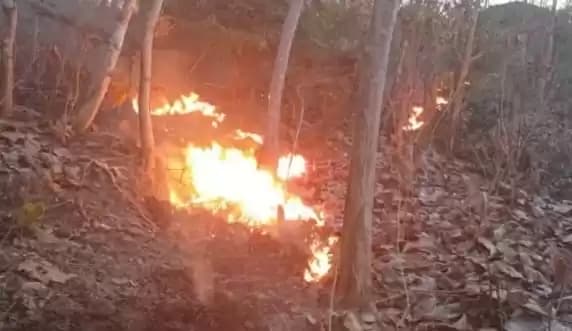 Foto Kebakaran Hutan