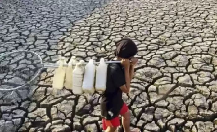 WMO Prediksi El Nino Muncul Paruh Kedua 2026