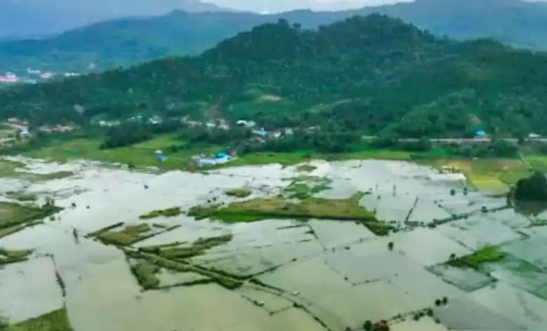 Foto Sawah Terendam banjir Bandang
