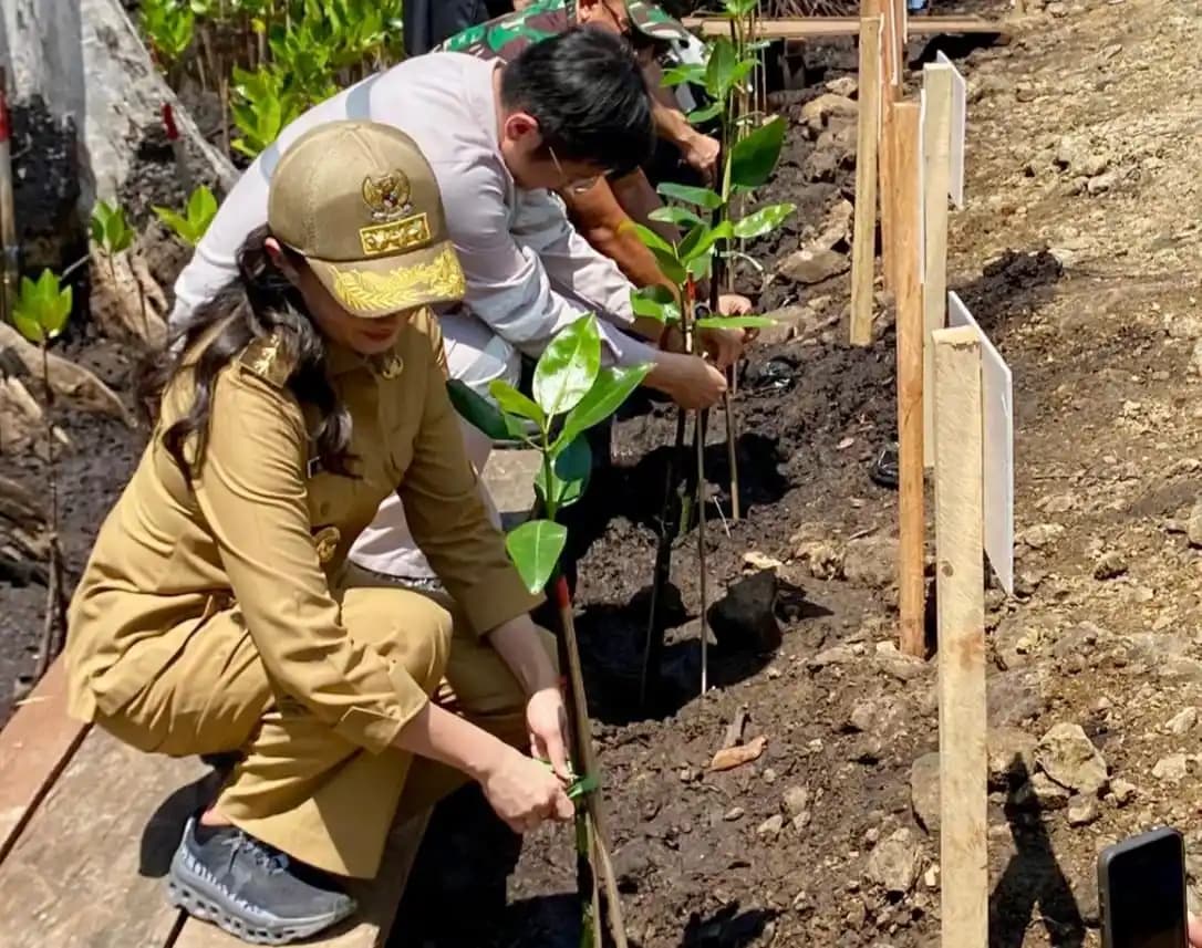 Gubernur Sherly Tjoanda menanam bibit mangrove di pesisir Desa Kobe