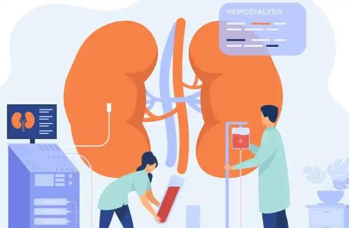 Ilustrasi - Inovasi medis dalam prosedur Transplantasi Ginjal