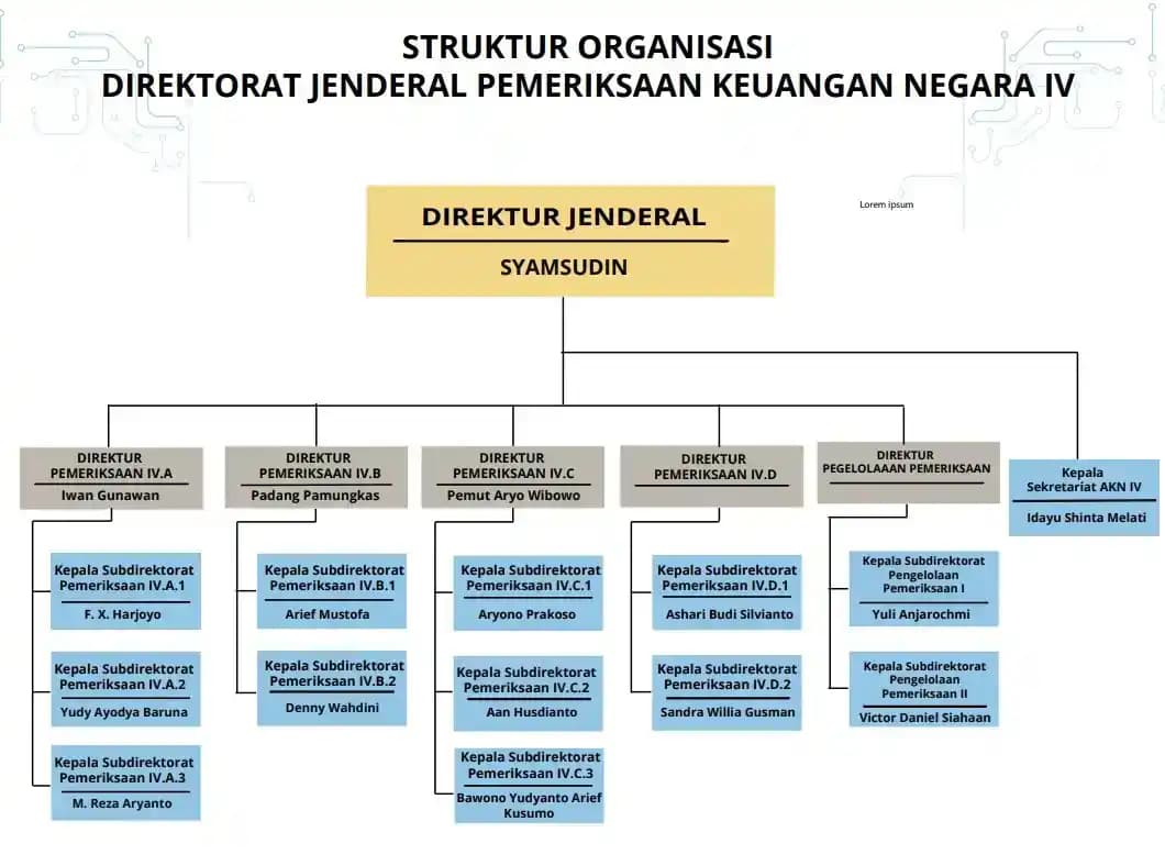 Ilustrasi - Struktur Organisasi Direktorat Jenderal Pemeriksaan Keuangan Negara (PKN) IV BPK RI (Foto: Dok MI/Diolah)