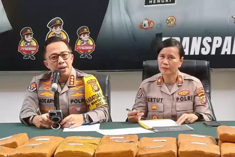 kabid humas pmj