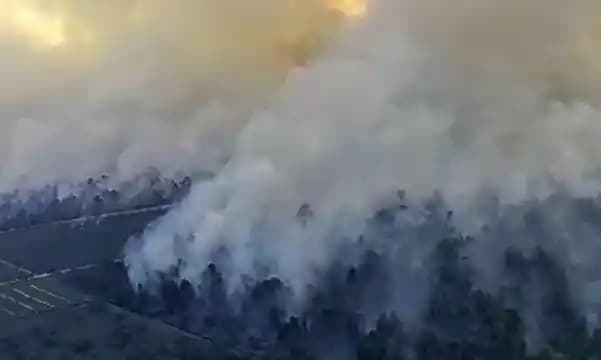 Kebakaran hutan dan lahan (karhutla) di Provinsi Riau