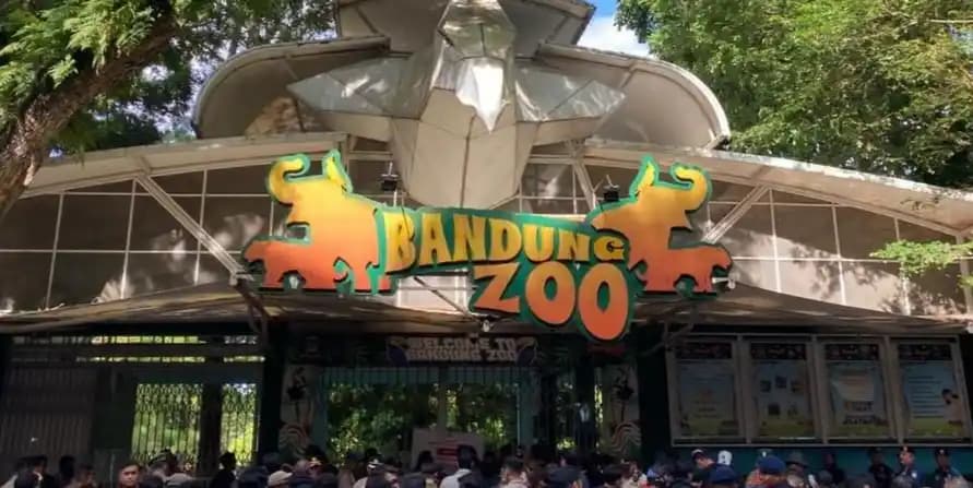 Kemenhut mencabut izin lembaga konservasi pengelola Bandung Zoo