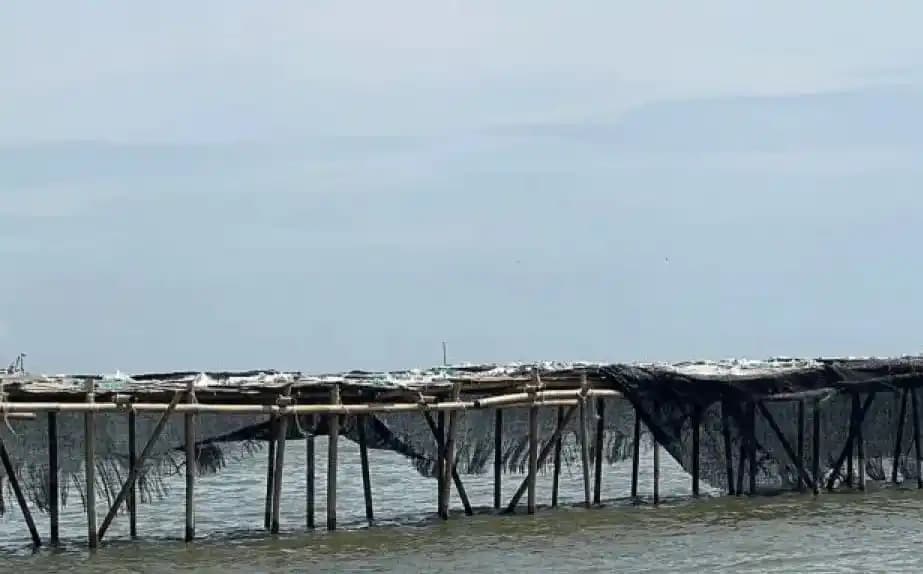 Korupsi Pagar Laut