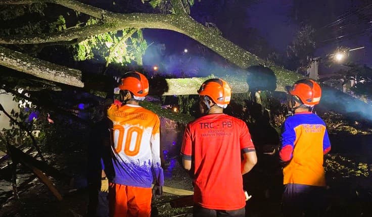 Pengendara Motor Tewas Akibat Tertimpa Pohon Tumbang di Trenggalek