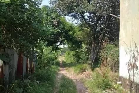 Lahan kosong di dekat SMPN 11 Cirebon ini menjadi saksi bisu kekejian yang dilakukan geng motor terhadap Vina dan pacarnya pada tahun 2016