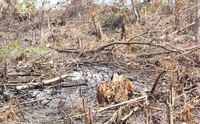 Lahan Kritis di Indonesia