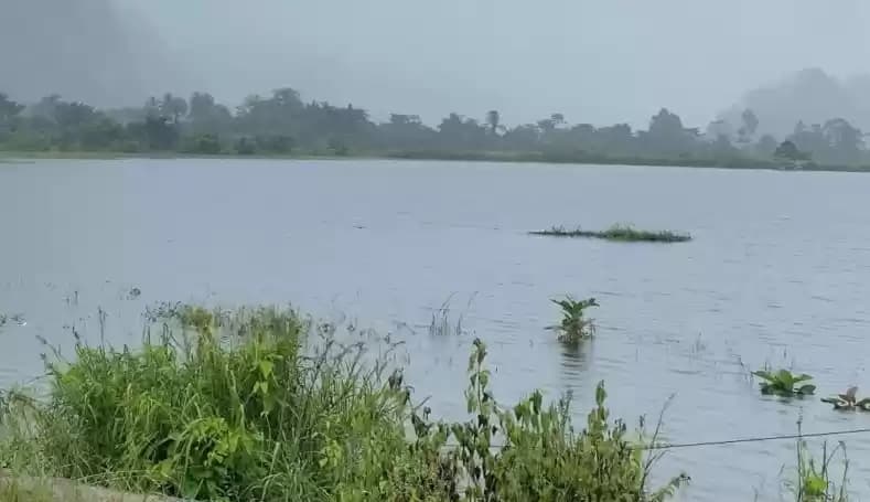 Lahan pertanian masyarakat yang terendam banjir