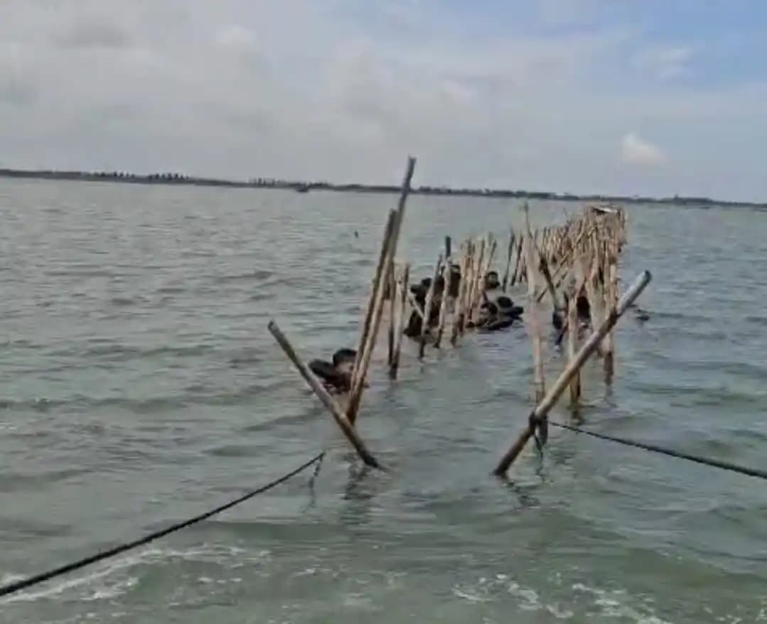 Pagar Laut
