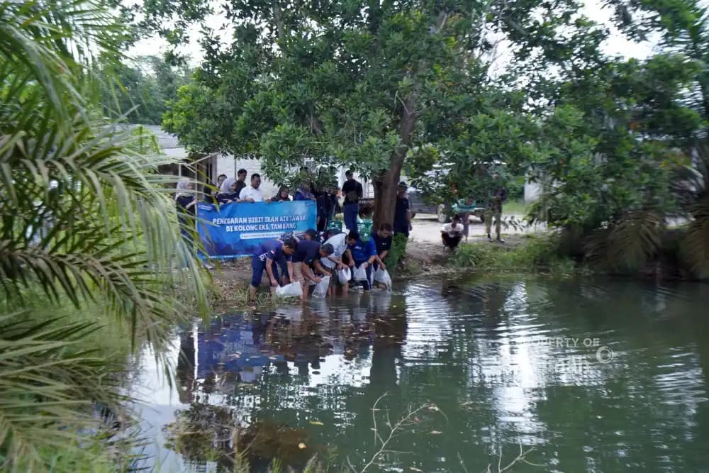 Pemanfaatan Kolong Eks Tambang jadi Ekosistem Produktif