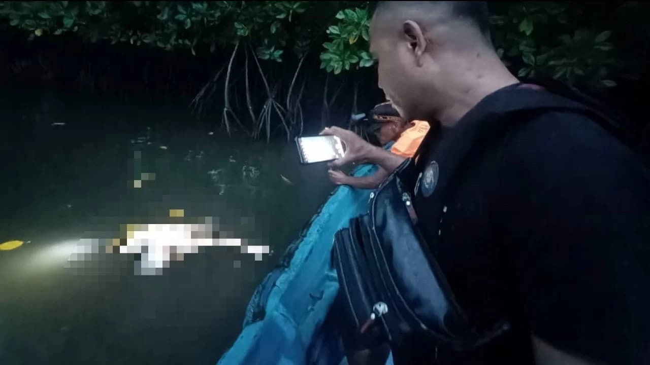 Warga Kabupaten Muna Digegerkan Temuan Potongan Tubuh Manusia Mengapung di Muara Sungai Desa Lambiku