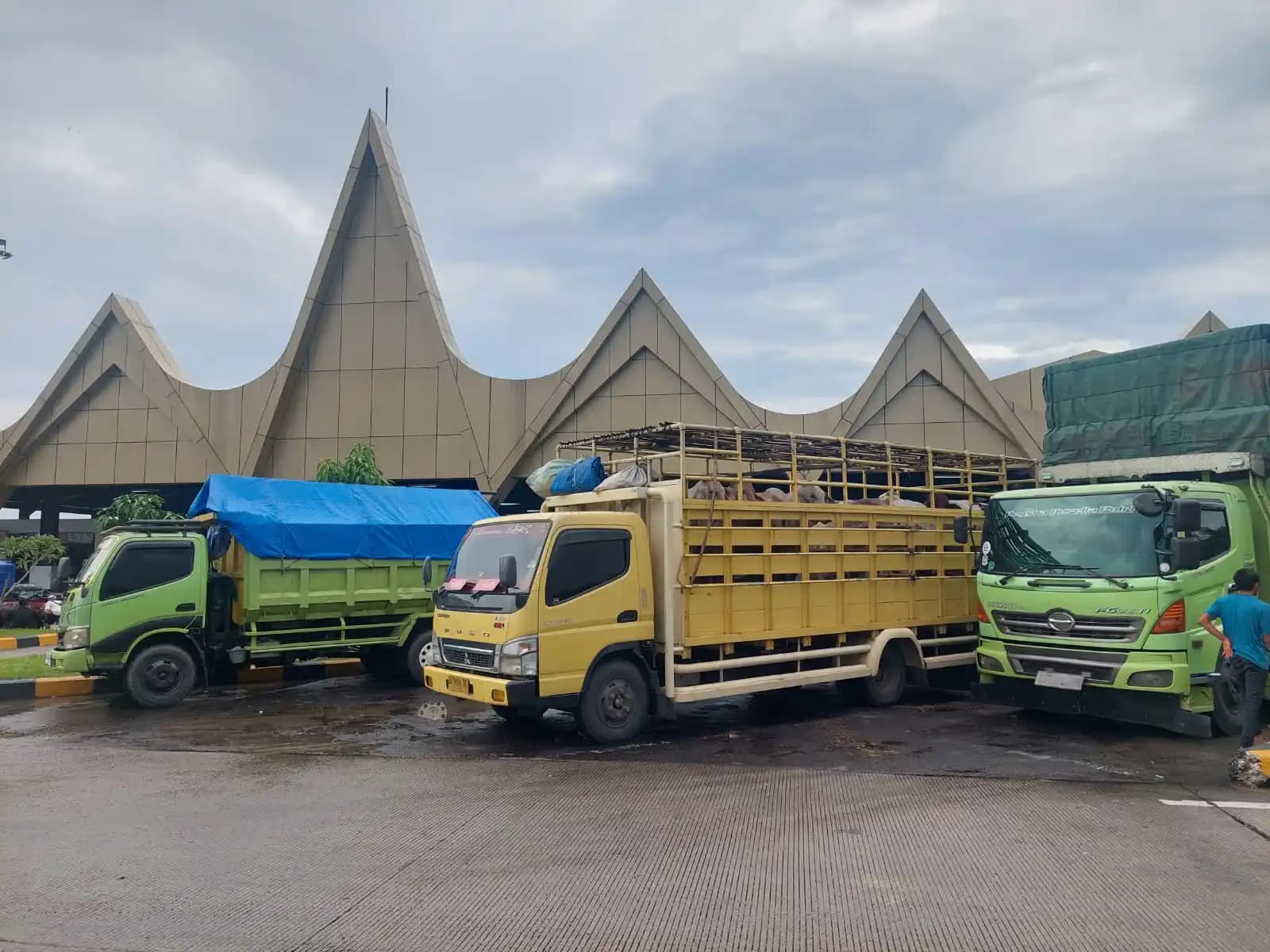 Pengemudi Truk Harus Jadi Perhatian Pemerintah, 60 Persen Pengemudi ODOL Pernah Alami Kecelakaan