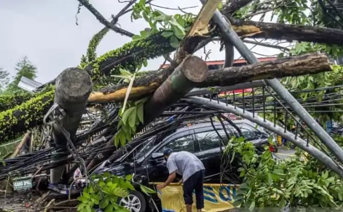 Pohon dan tiang listrik rusak