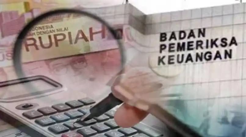 PT RNI Temuan BPK