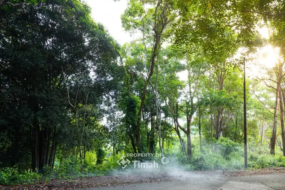 PT Timah-Hutan Kehati