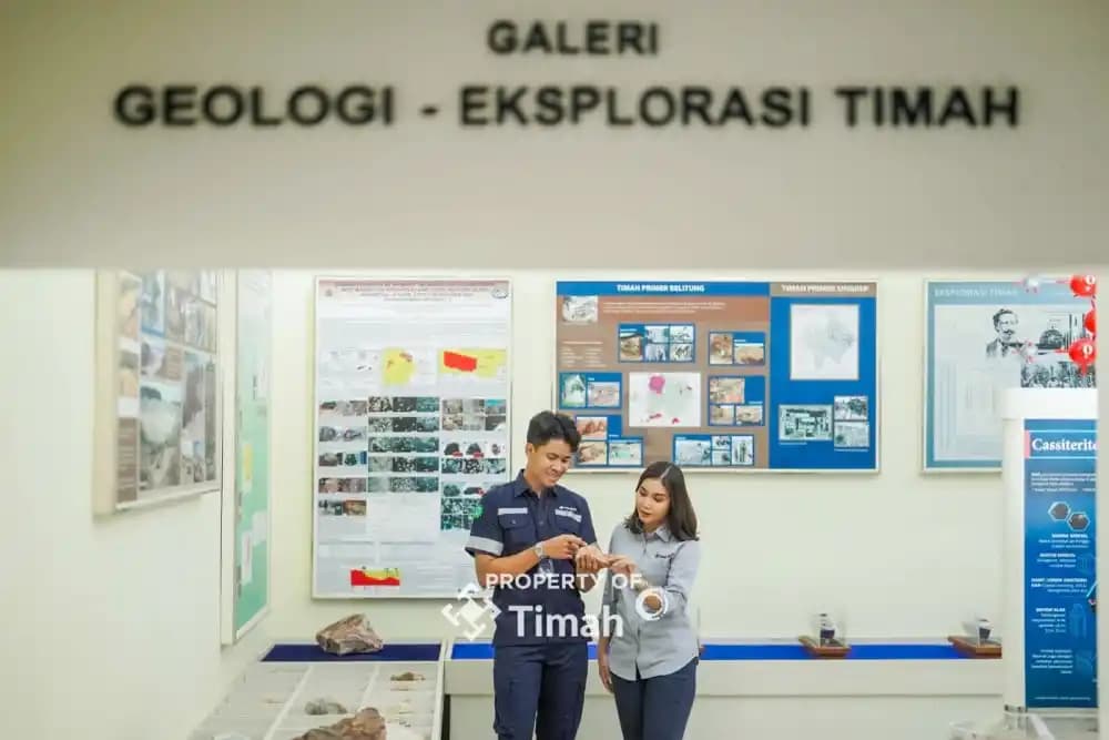 PT Timah-Tambang
