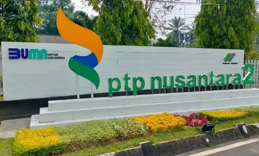 PTPN II