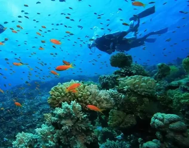 Pulau Gosong