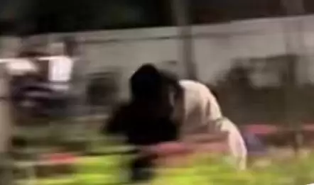 Aksi Sejoli Asyik Ciuman di Taman Merjosari Malang [Foto: Tangkapan Layar/X]