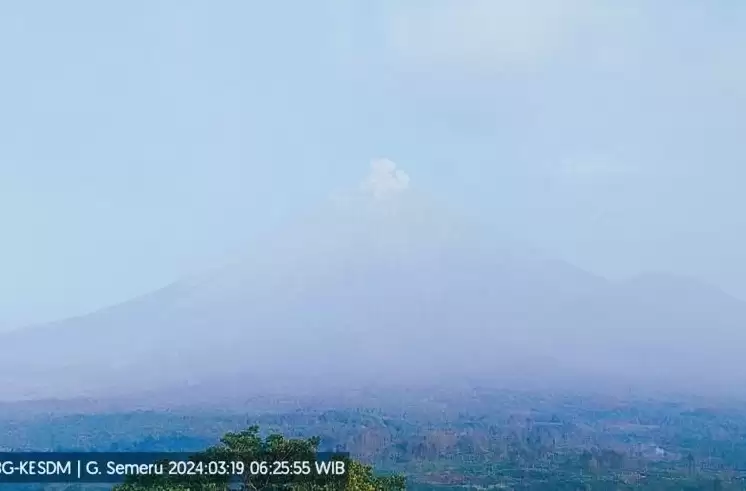 Gunung Semeru erupsi dengan letusan setinggi 500 meter di atas puncak pada Selasa (19/3/2024). (Foto: ANTARA)