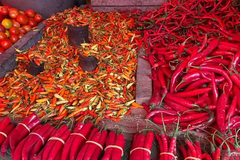Cabai di Pasar Kendari (Foto: Antara)