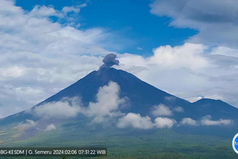 Kolom abu vulkanik membumbung dari puncak Gunung Semeru yang terpantau dari pos pengamatan di Gunung Sawur, Kabupaten Lumajang, Jawa Timur, Selasa (6/2/2024). (Foto: ANTAR)