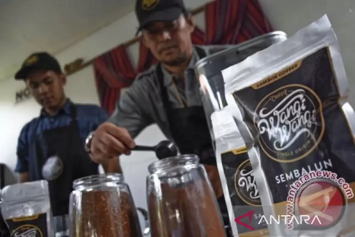 Seseorang meracik kopi Arabika Sembalun Sajang produknya saat dipamerkan di Kantor Dispar NTB, di Mataram. (Foto: ANTARA)