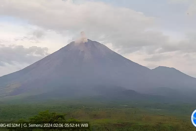 Kolom abu vulkanik membumbung dari puncak Gunung Semeru yang terpantau dari pos pengamatan di Gunung Sawur, Kabupaten Lumajang, Jawa Timur, Selasa (6/2). (Foto: ANTARA/HO-PVMBG)