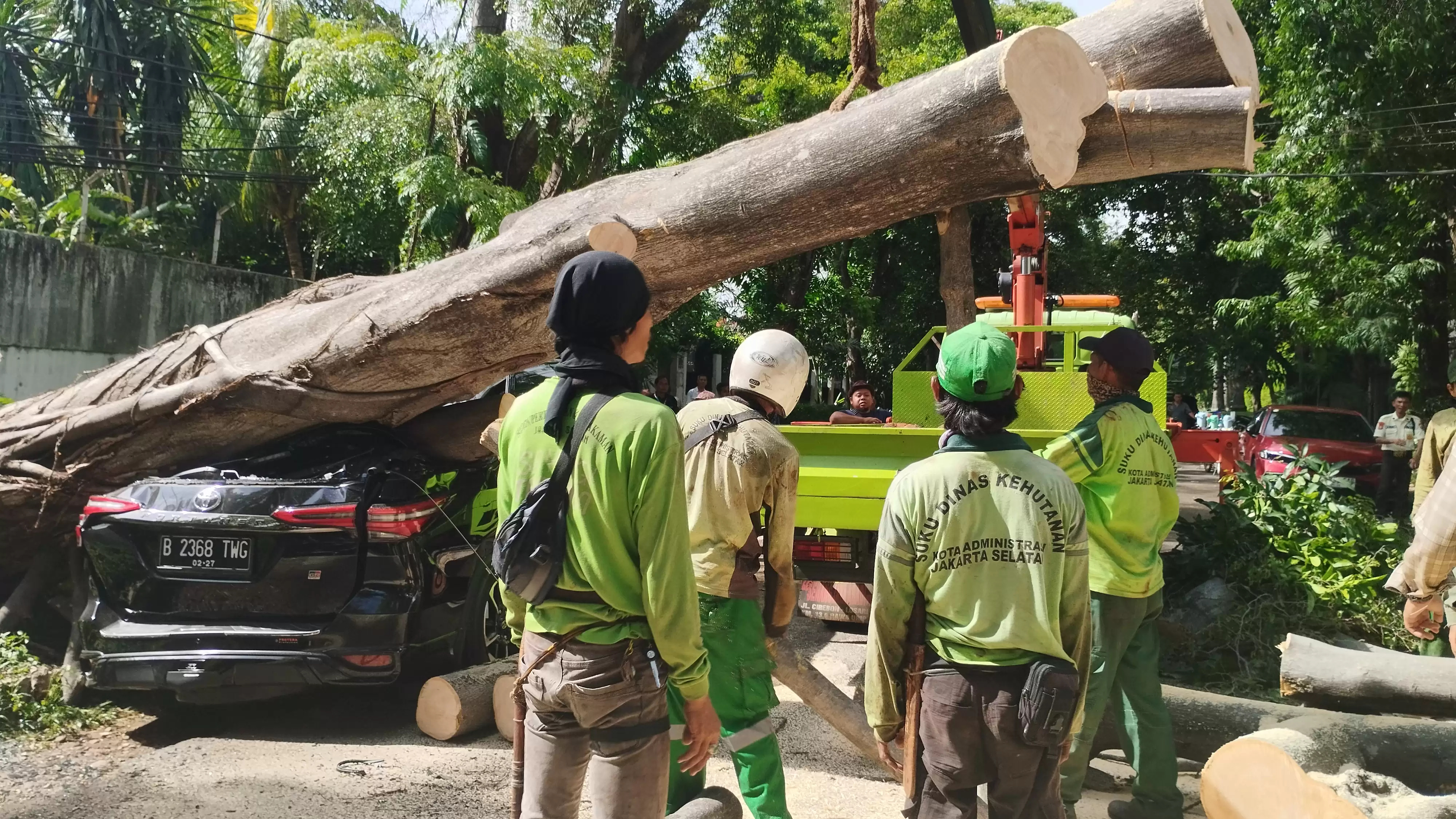 Pohon Besar di Depan Rumah Prabowo Ambruk, Ganjar Saksinya