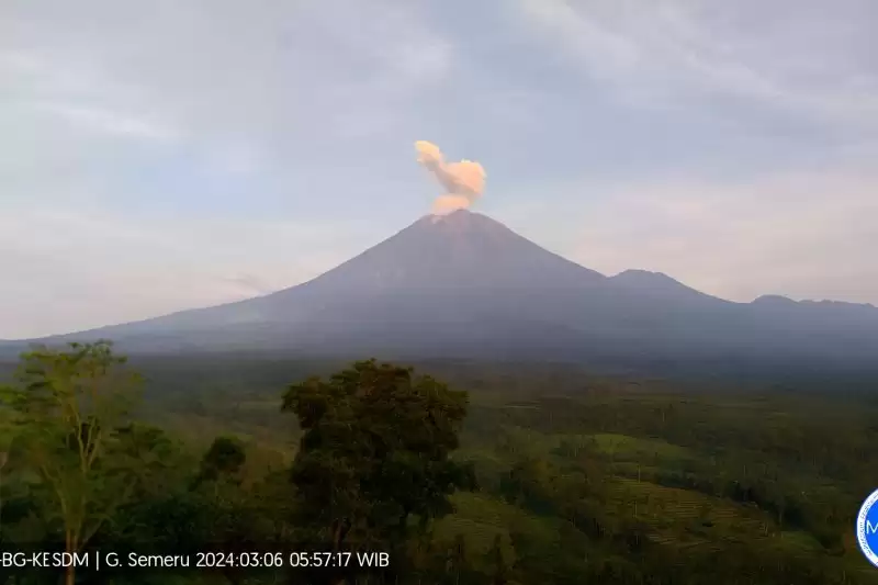 Kolom abu vulkanik tebal membumbung, akibat aktivitas erupsi yang terjadi di Gunung Semeru, Jawa Timur, Rabu (6/3). (Foto: ANTARA)
