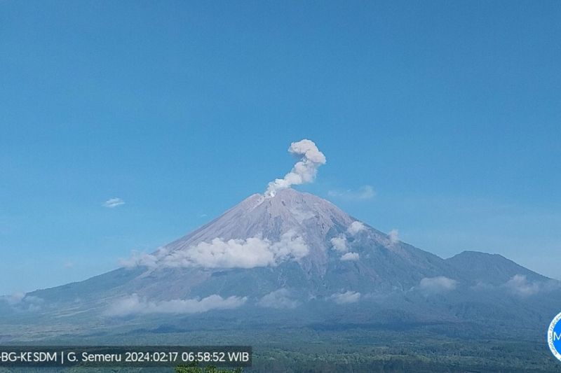 Gunung Semeru erupsi pada Sabtu (17/2/2024) pukul 06.56 WIB yang terpantau dari Pos Pengamatan Gunung Semeru di Desa Sumberwuluh, Kabupaten Lumajang. (Foto: ANTARA)