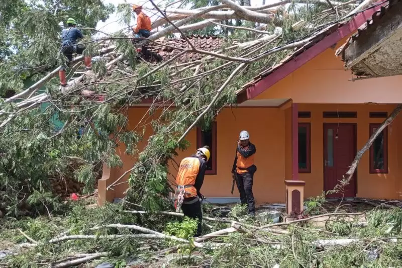 Petugas BPBD Ciamis menanggulangi pemukiman rumah warga, yang rusak terdampak bencana alam angin puting beliung di Kabupaten Ciamis, Jawa Barat. (Foto: ANTARA)