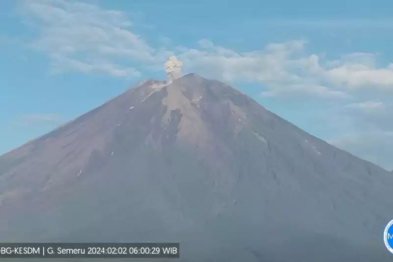 Erupsi Gunung Semeru di Kabupaten Malang dan Kabupaten Lumajang, Provinsi Jawa Timur, Jumat (2/2). (Foto: ANTARA/HO-PVMBG)