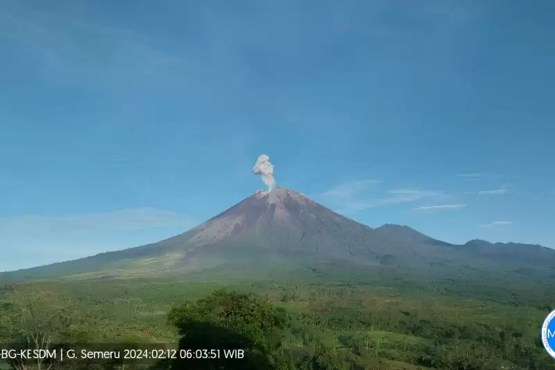 Gunung Semeru erupsi yang terpantau dari pos pengamatan gunung api di Gunung Sawur, Kabupaten Lumajang, Jawa Timur, Senin (12/2). (Foto: ANTARA/HO-PVMBG)