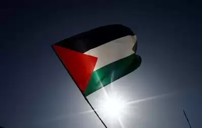 Bendera Palestina (Foto: Ist)