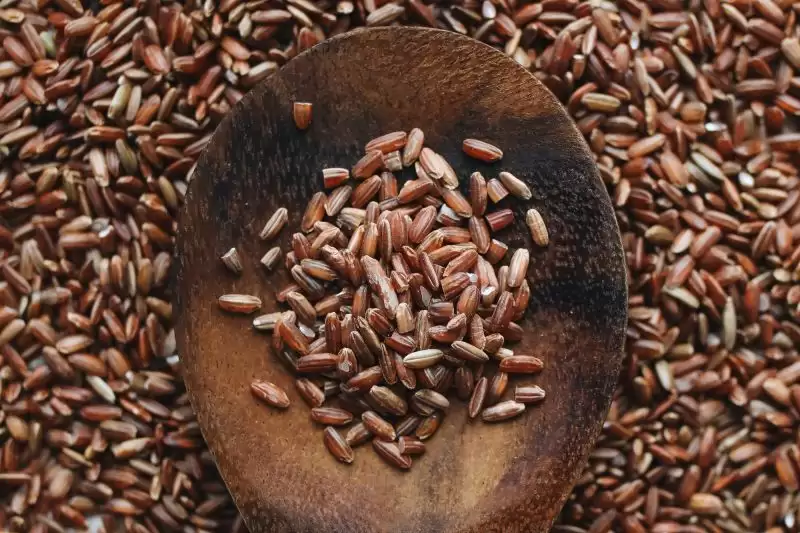 Ilustrasi beras merah [Foto: Ant]
