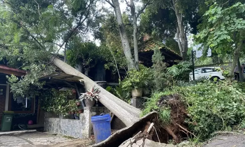 Rumah warga di Kecamatan Cimenyan, Kabupaten Bandung, Jawa Barat, tertimpa pohon setelah diterjang angin puting beliung, Sabtu (30/12). (Foto: ANTARA)