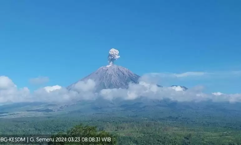 Gunung Semeru erupsi pada Sabtu (23/3/2024) pukul 08.07 WIB (Foto: ANTARA)