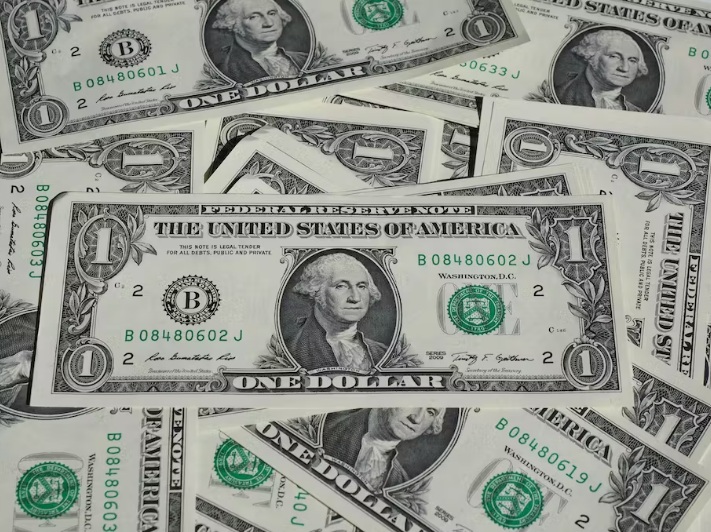 Mata Uang Dollar Amerika ( Foto Pixabay )