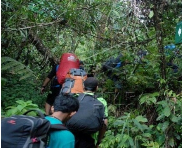 Ilustrasi-13 pendaki gunung pangrango yanng tersesat. (Foto: ANTARA)